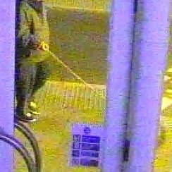 Shane Lay CCTV