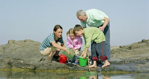 Family in Cornwall