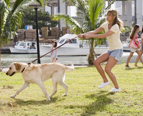 Marley & Me