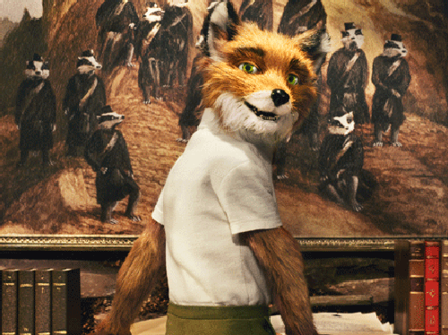 Fantastic Me Fox