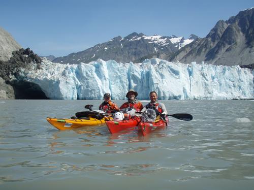 ebay arnette sunglasses