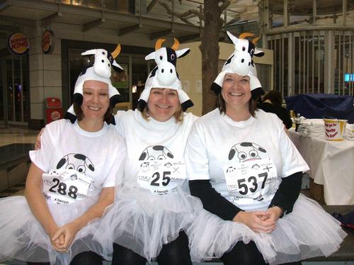MK Midnight Moo 2009