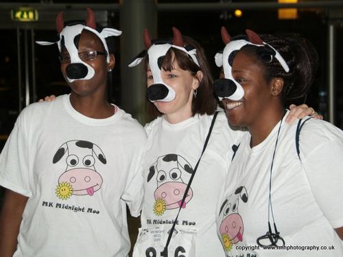 MK Midnight Moo 2009