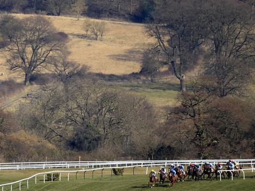 Cheltenham Races