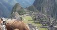 Image 7: Inca Trail Trek