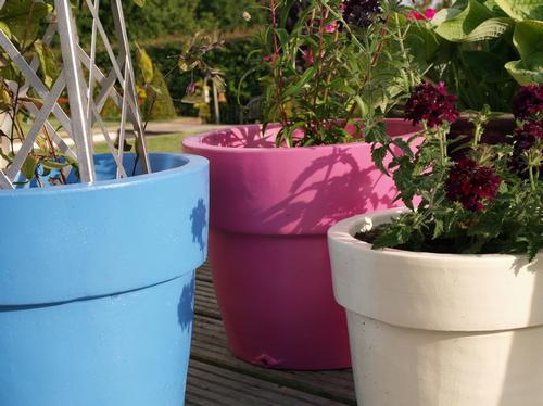 Plant Pot