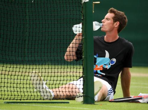 Wimbledon
