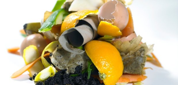 Food Waste