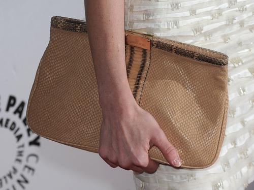 Celebrity bags