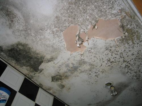 Condition of kitchen wall at Chung Wah Express, Ch