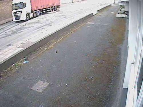 White DAF with Red Curtain Trailer