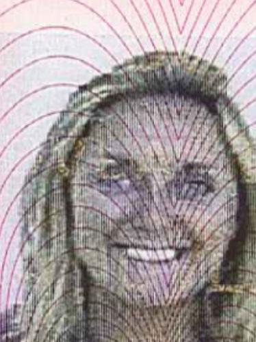 Paulina's driving licence picture
