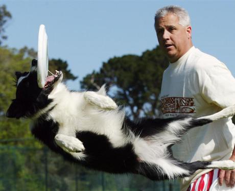 National Dog Day