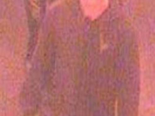 CCTV images of suspects