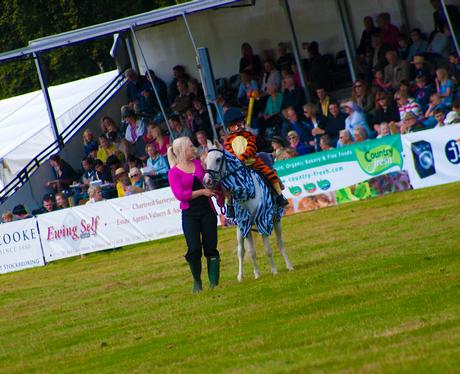 Aylsham Show 2010