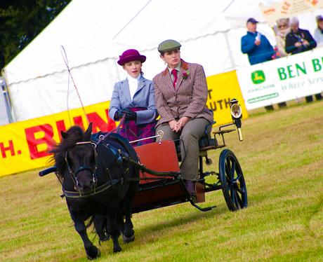 Aylsham Show 2010