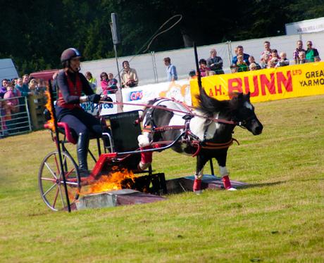 Aylsham Show 2010