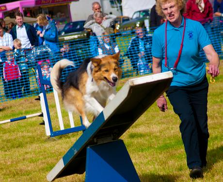 Aylsham Show 2010