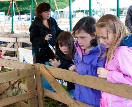 Aylsham Show 2010