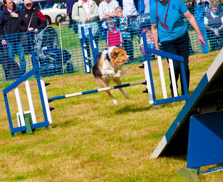 Aylsham Show 2010