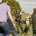 Image 2: RAF Dog Trials