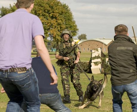 RAF Dog Trials