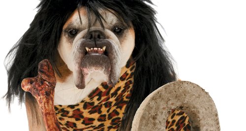 Caveman dog