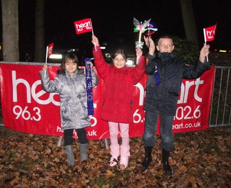 Billericay Fireworks