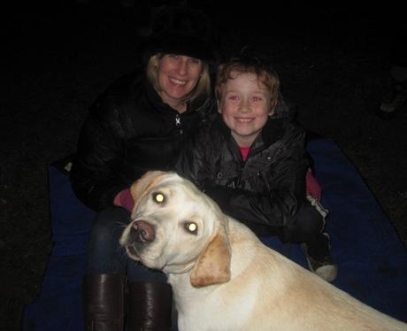 Fairlands Valley Park Fireworks in Stevenage