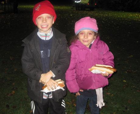 Fairlands Valley Park Fireworks in Stevenage