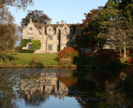 Wakehurst Place Christmas Tree