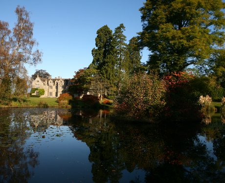 Wakehurst Place Christmas Tree