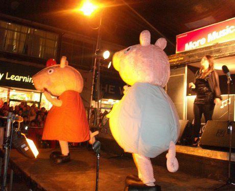 Hemel Christmas Light Switch On 2010