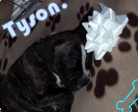 Tyson