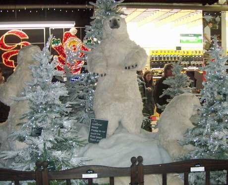 Van Hage Garden Centre - Festive Fun at Van Hage Garden Centre - Heart