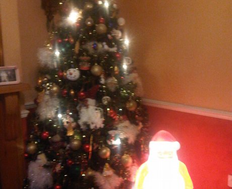 Tracy's christmas tree