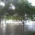 Image 2: Brisbane floods 1a