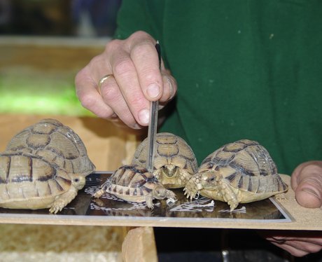 Stocktake at Whipsnade Zoo