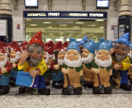 Gnome flashmob