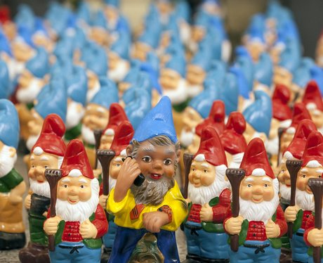 Gnome flashmob
