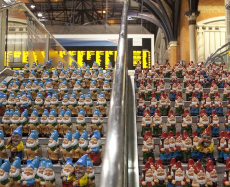 Gnome flashmob