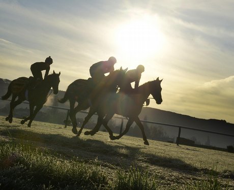 Cheltenham Festival