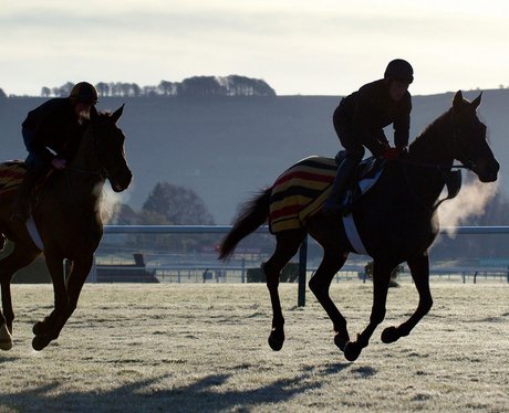 Cheltenham Festival