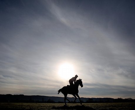 Cheltenham Festival