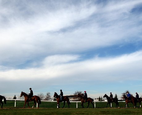 Cheltenham Festival