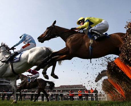 Cheltenham Festival