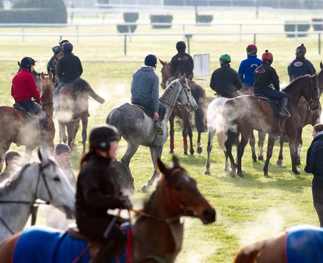 Cheltenham Festival