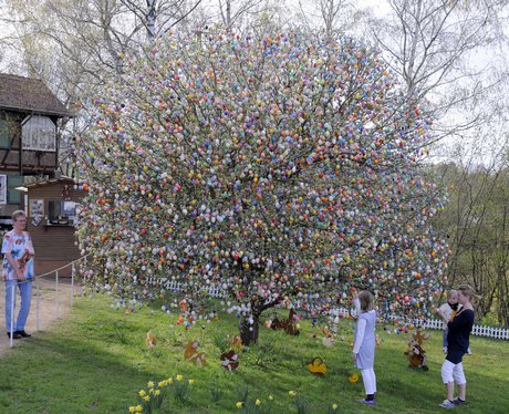 Easter Egg Tree