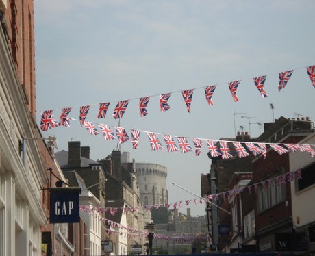 Windsor Bunting