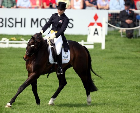 Badminton 2011
